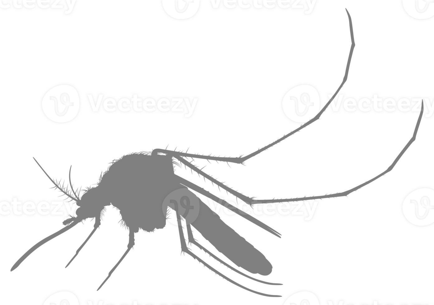 Mosquito Silhouette, can use for Art Illustration Pictogram, Website, and Graphic Design Element. Format PNG