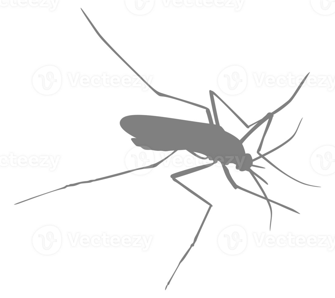 Mosquito Silhouette, can use for Art Illustration Pictogram, Website, and Graphic Design Element. Format PNG