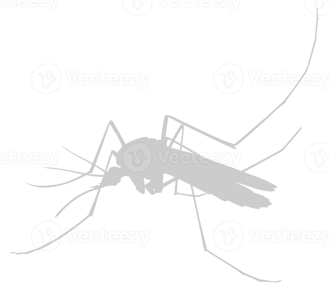 Mosquito Silhouette, can use for Art Illustration Pictogram, Website, and Graphic Design Element. Format PNG