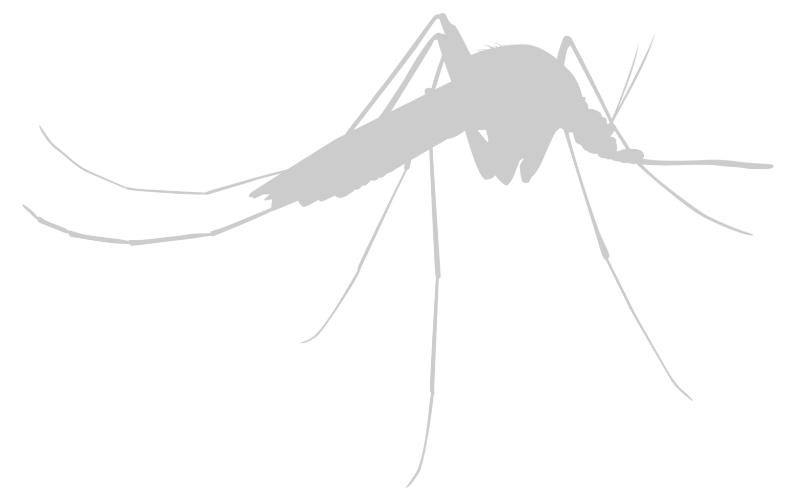 Mosquito Silhouette, can use for Art Illustration Pictogram, Website, and Graphic Design Element. Format PNG