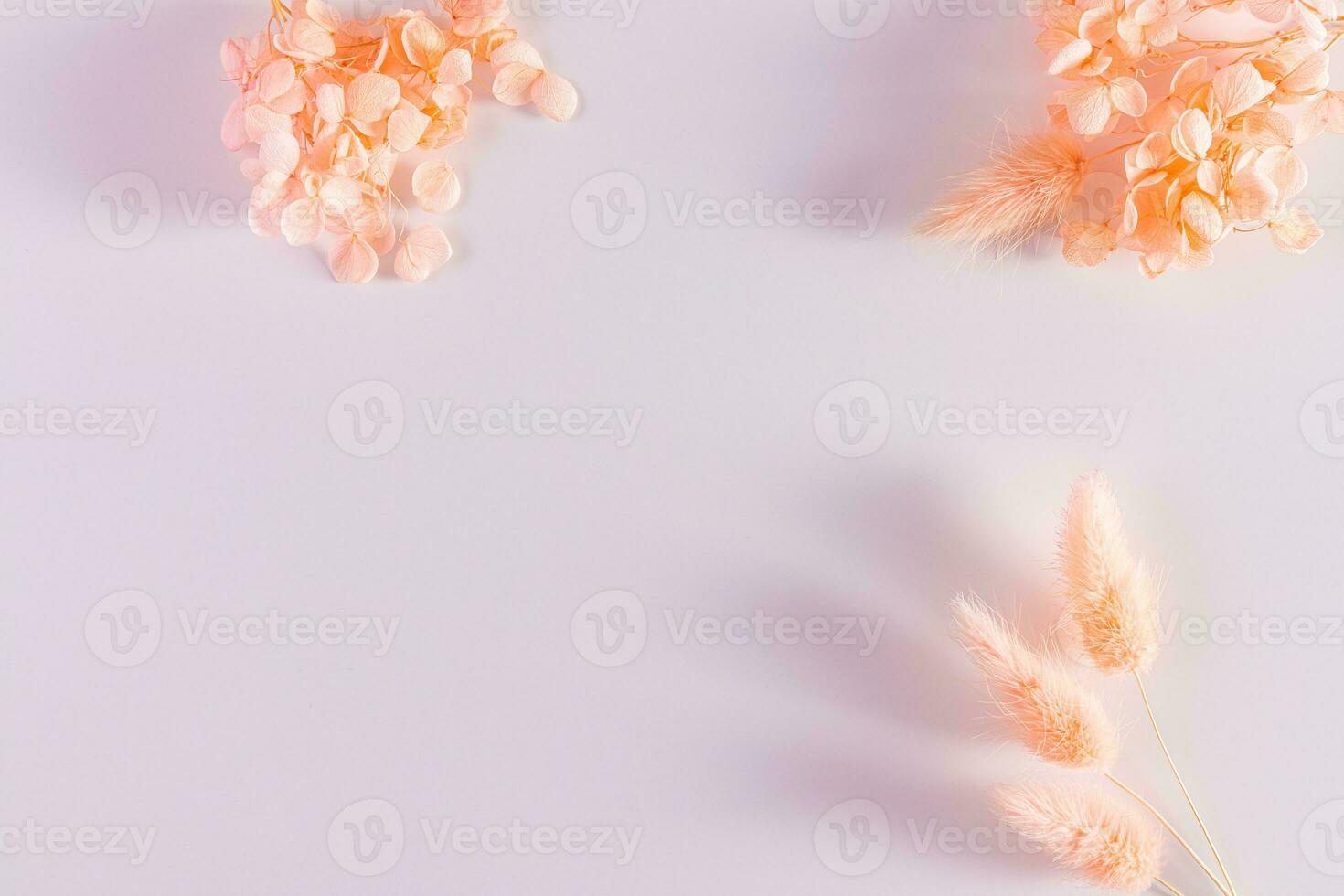 Flowers composition. Frame made of dried flowers of peach-colored on white background. Flat lay, top view, copy space. Year 2024 Peach Fuzz. photo