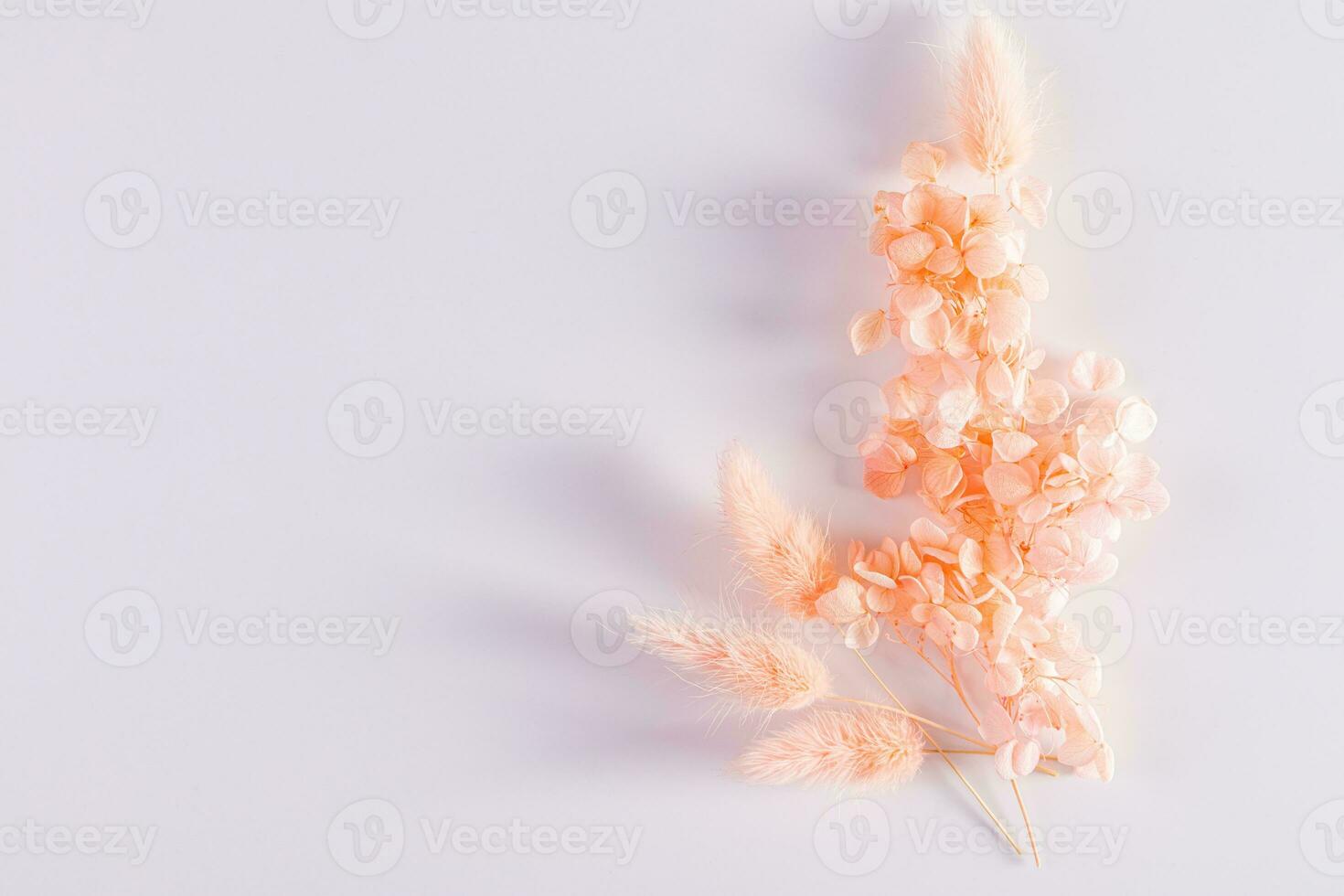 Branches of dried grass and peach blossom flowers in a bouquet on a white background with a copy space. Top view. Color of the Year 2024 Peach Fuzz. photo