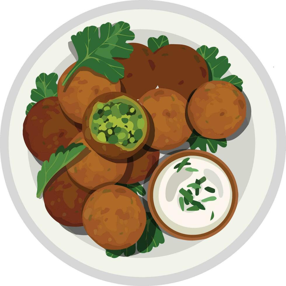 Top View Falafel. Middle Eastern Food Illustrator Vector. vector