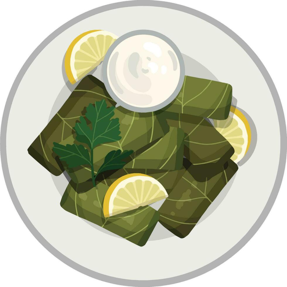 Top View Dolma, Stuffed Grape Leaves. Middle Eastern Food Illustrator Vector. vector