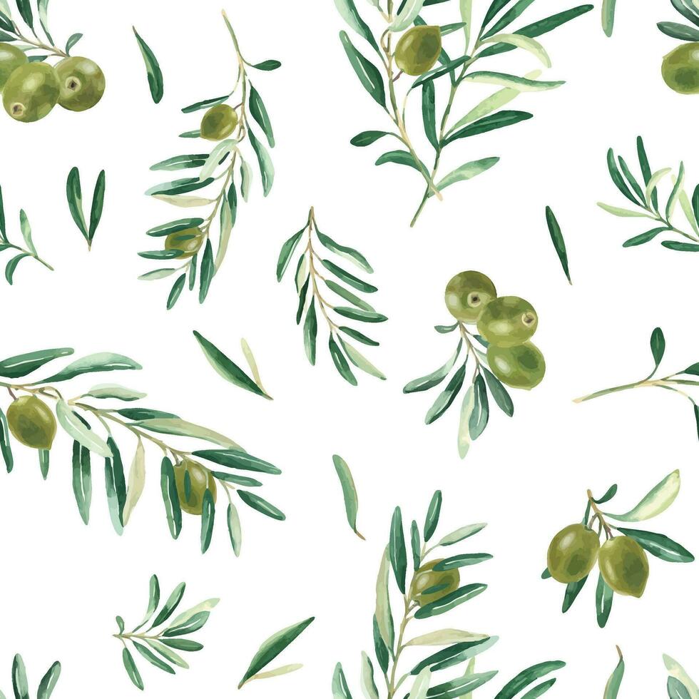 Watercolor seamless pattern with branches of green olives on a white background. Can be used for textile, wallpaper prints, kitchen, food and cosmetic design. vector
