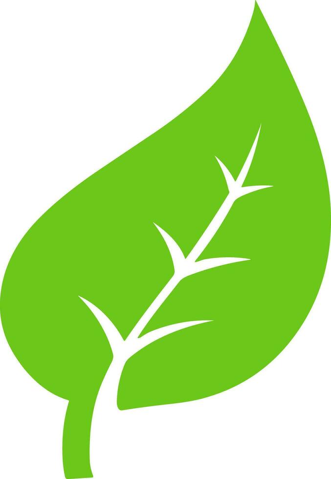 Logo green leaf ecology nature element vector. vector