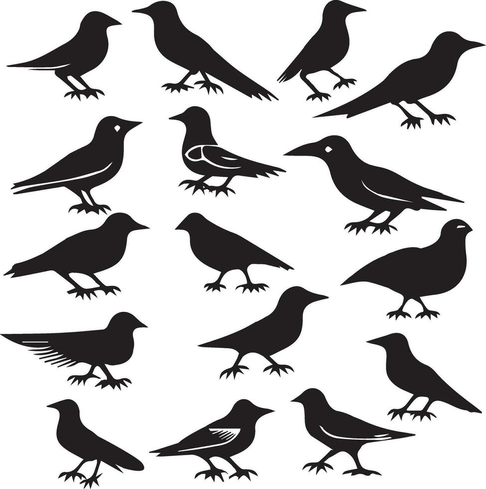 Mynah Birds Vector Silhouette