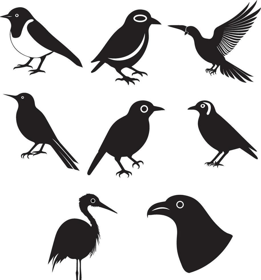 Different Types Of Birds Vector Illustration 35601198 Vector Art At different-types-of-birds-vector-illustration-35601198-vector-art-at