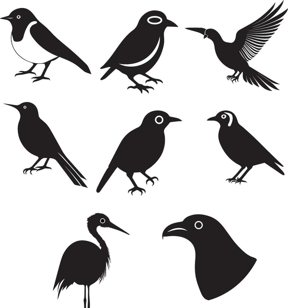 diferente tipos de aves vector ilustración