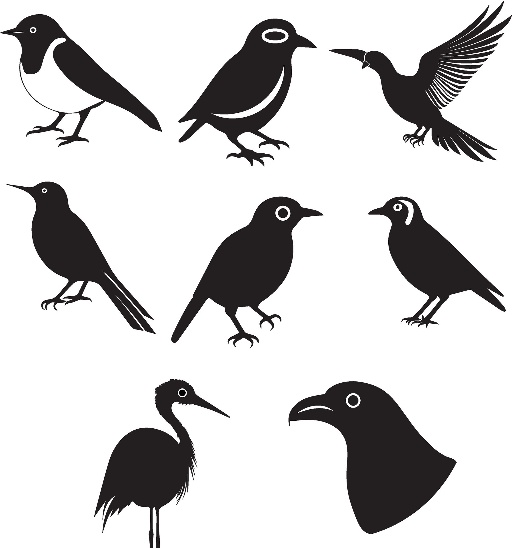 Different Types Of Birds Vector Illustration 35601198 Vector Art at