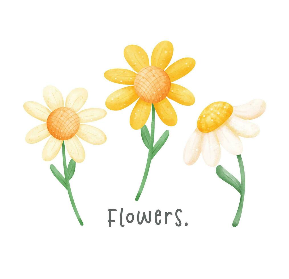 Cute three daisy flowers watercolor hand drawing illustration vector