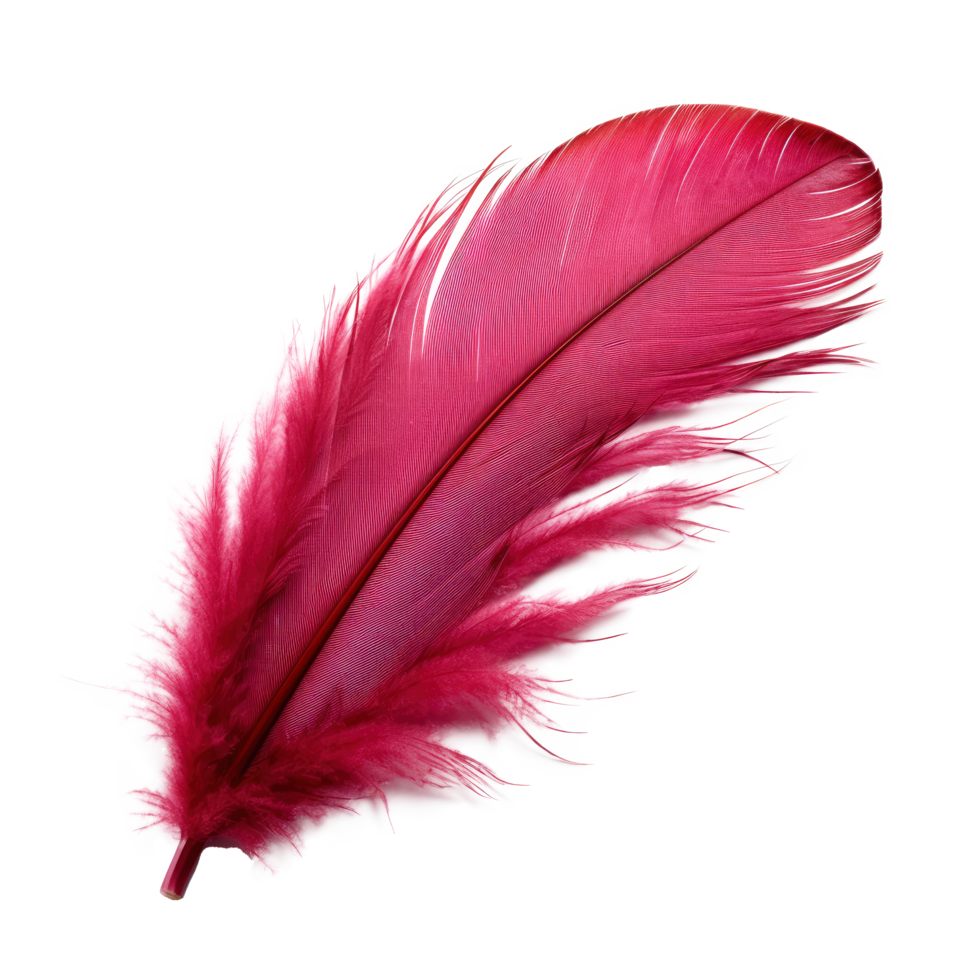 AI generated Delicate Downy Feather Isolated on Transparent Background png