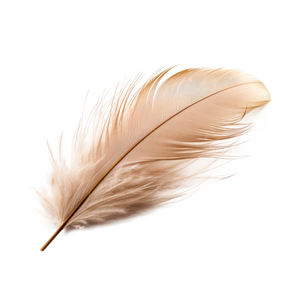 AI generated Delicate Downy Feather Isolated on Transparent Background