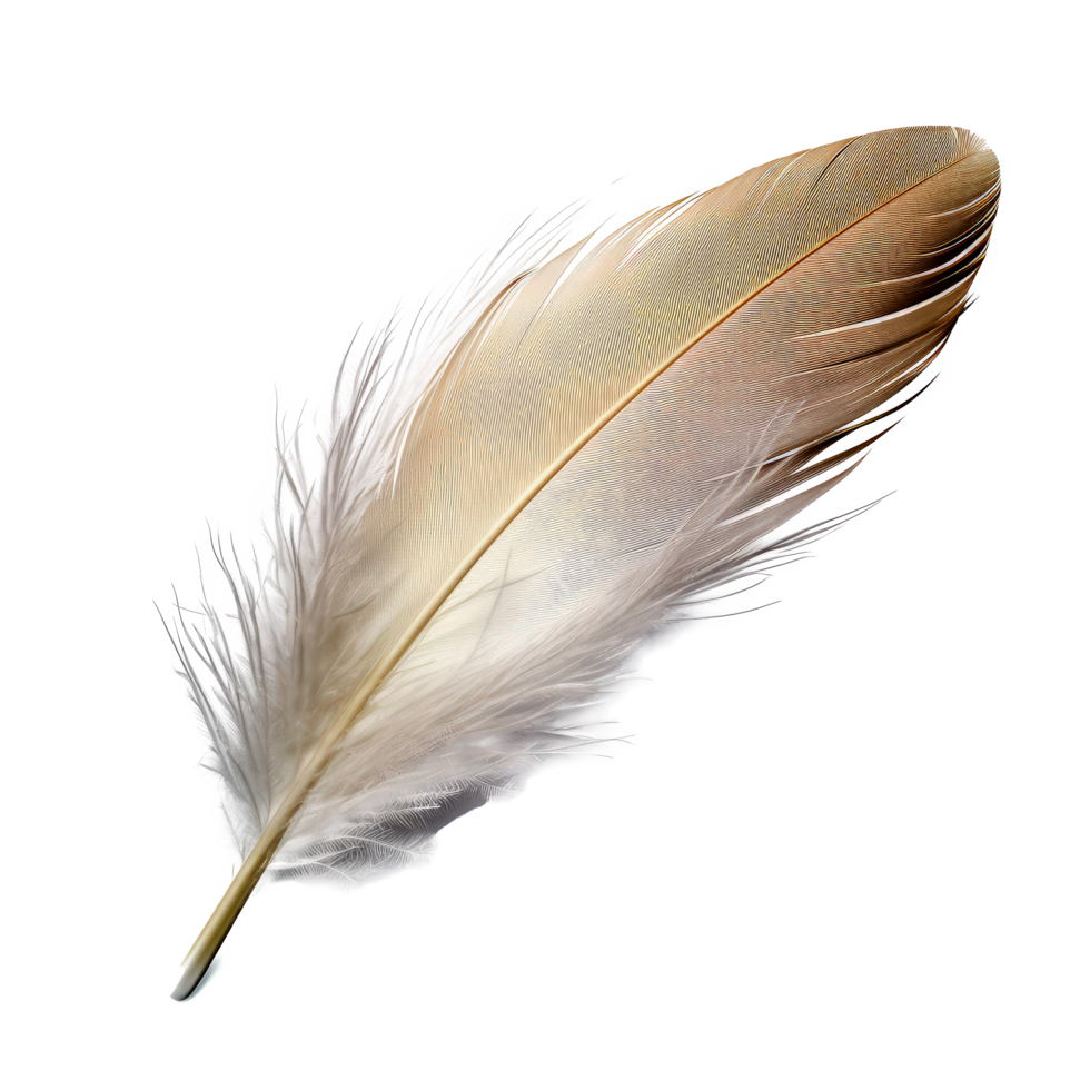 AI generated Delicate Downy Feather Isolated on Transparent Background png