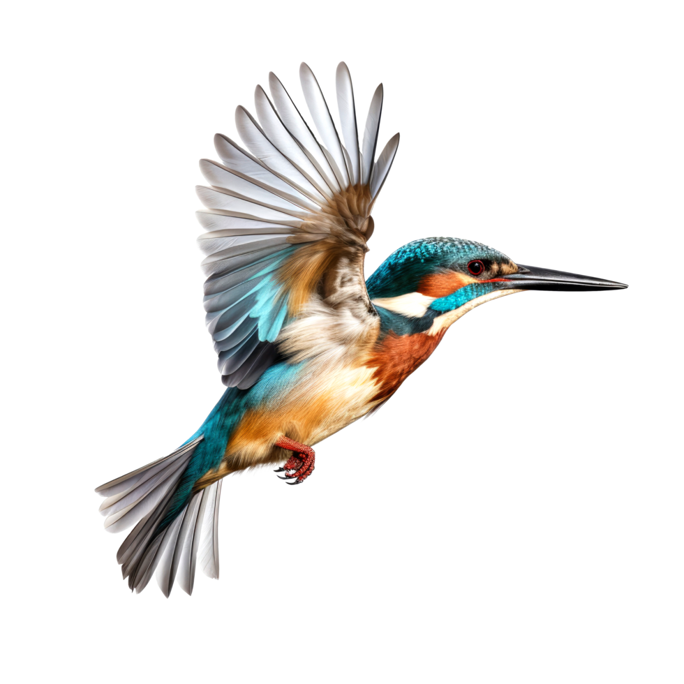AI generated Flying kingfisher isolated on a transparent background. png
