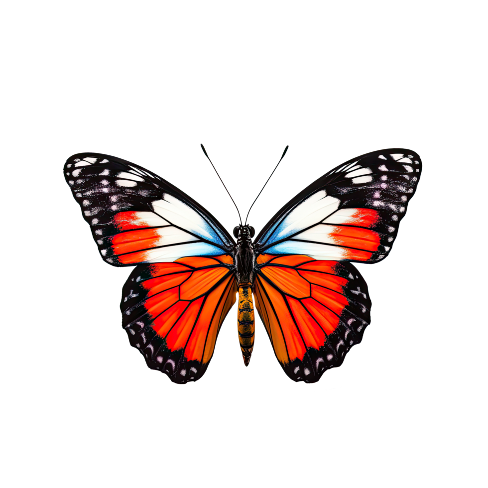 AI generated Graceful Butterfly in Isolated on Transparent Background png