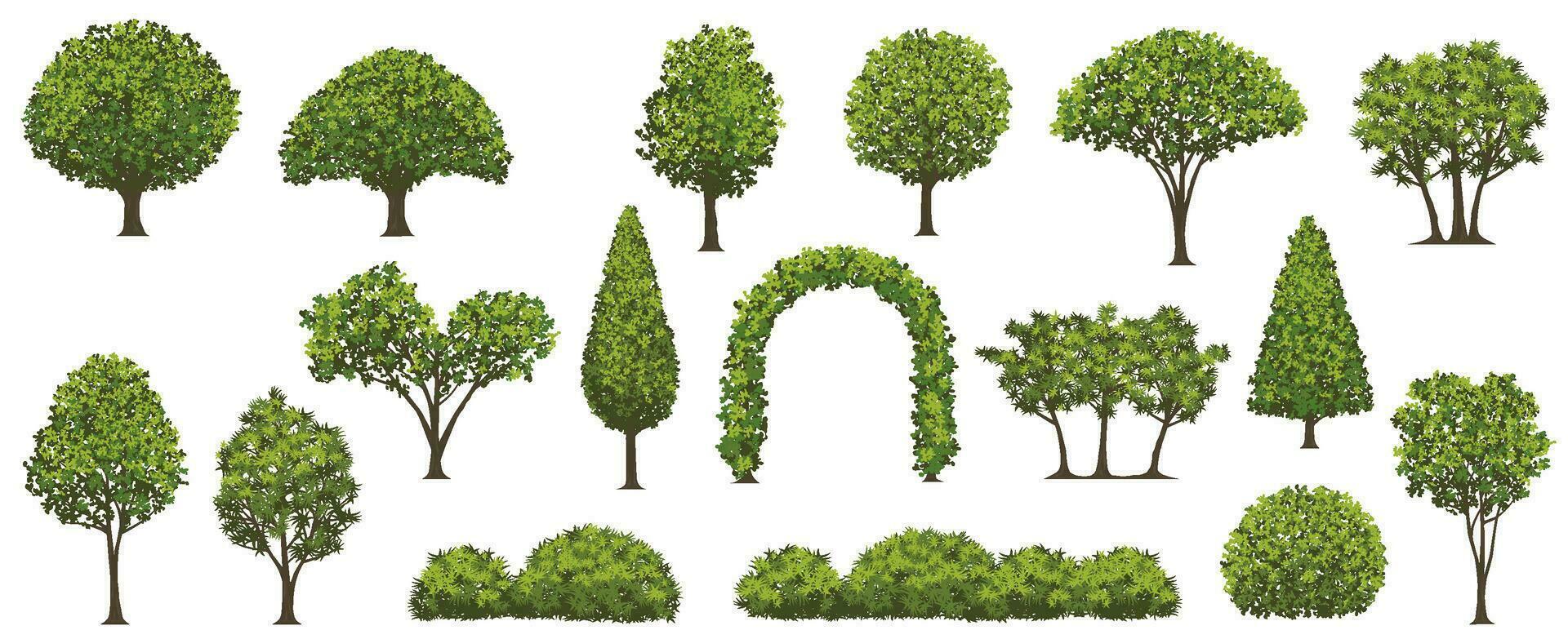 Vector Trees And Shrubs Illustration Set Isolated On A White Background.