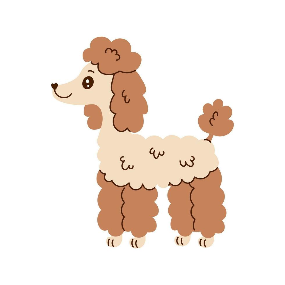 Cute poodle vector illustration in cartoon style