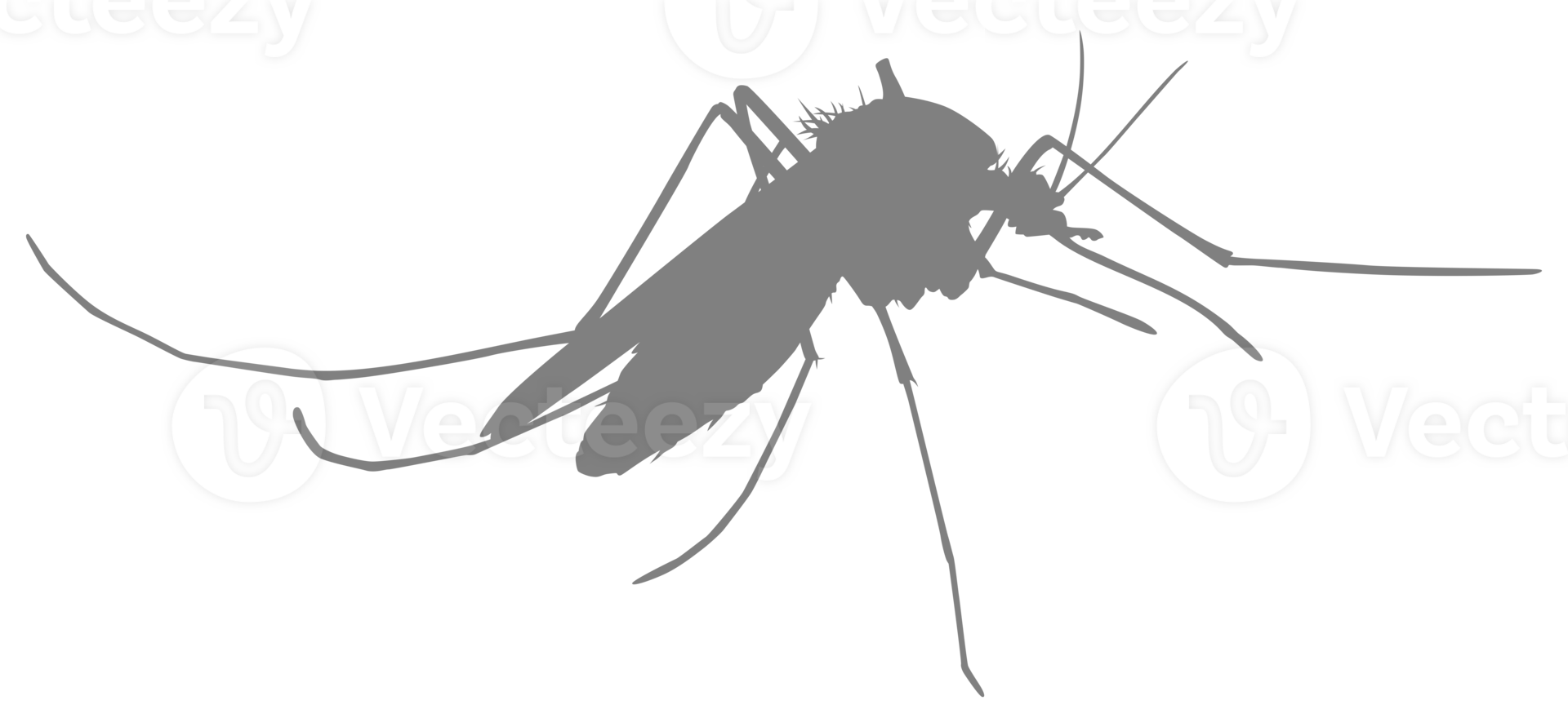 Mosquito Silhouette, can use for Art Illustration Pictogram, Website, and Graphic Design Element. Format PNG