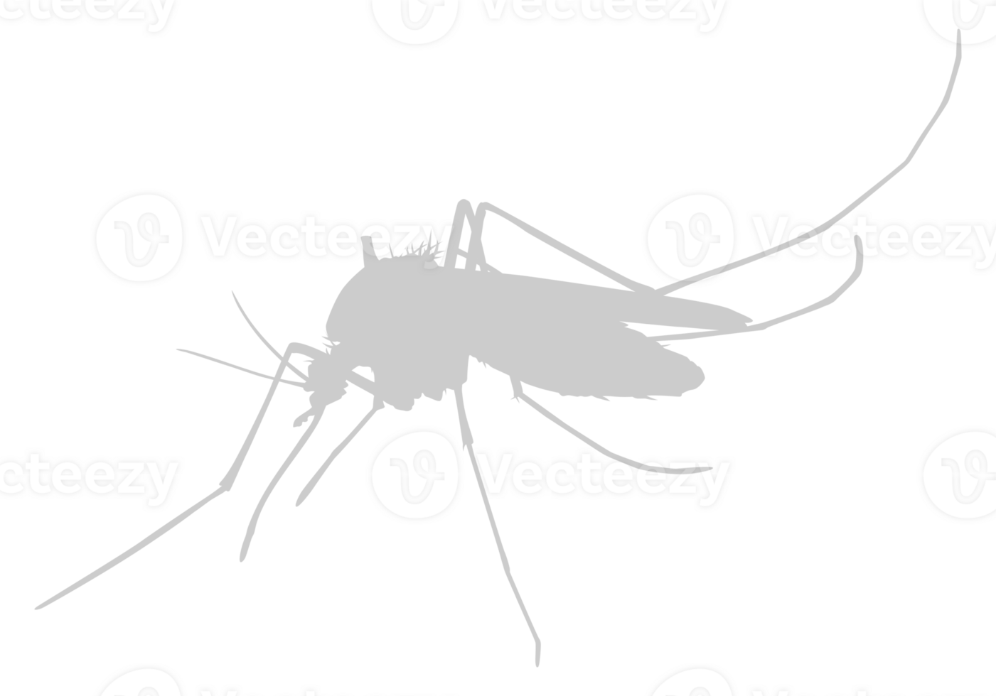 Mosquito Silhouette, can use for Art Illustration Pictogram, Website, and Graphic Design Element. Format PNG