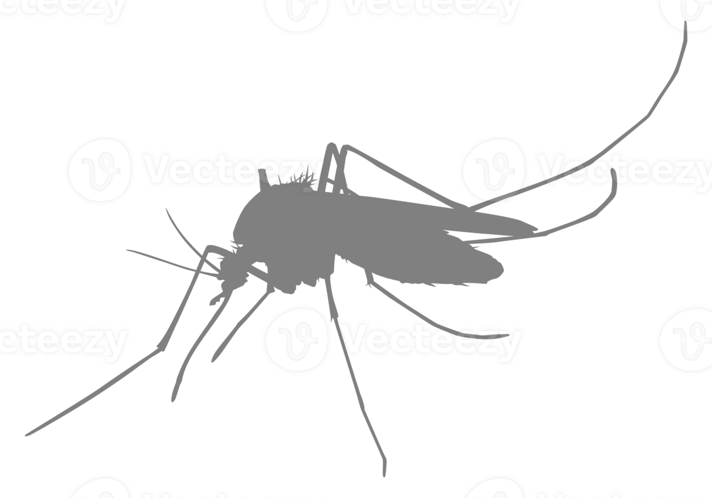 Mosquito Silhouette, can use for Art Illustration Pictogram, Website, and Graphic Design Element. Format PNG