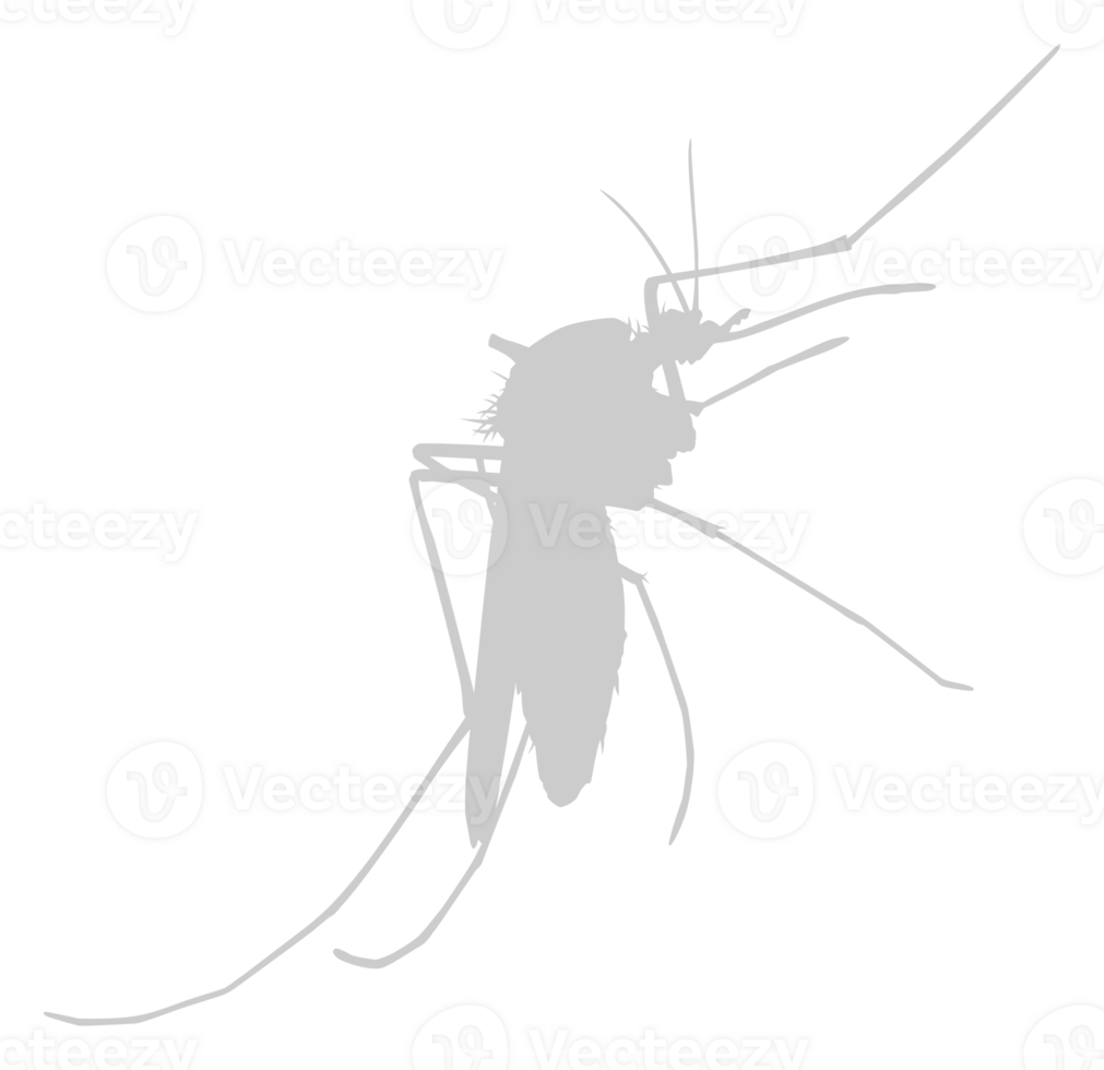 Mosquito Silhouette, can use for Art Illustration Pictogram, Website, and Graphic Design Element. Format PNG