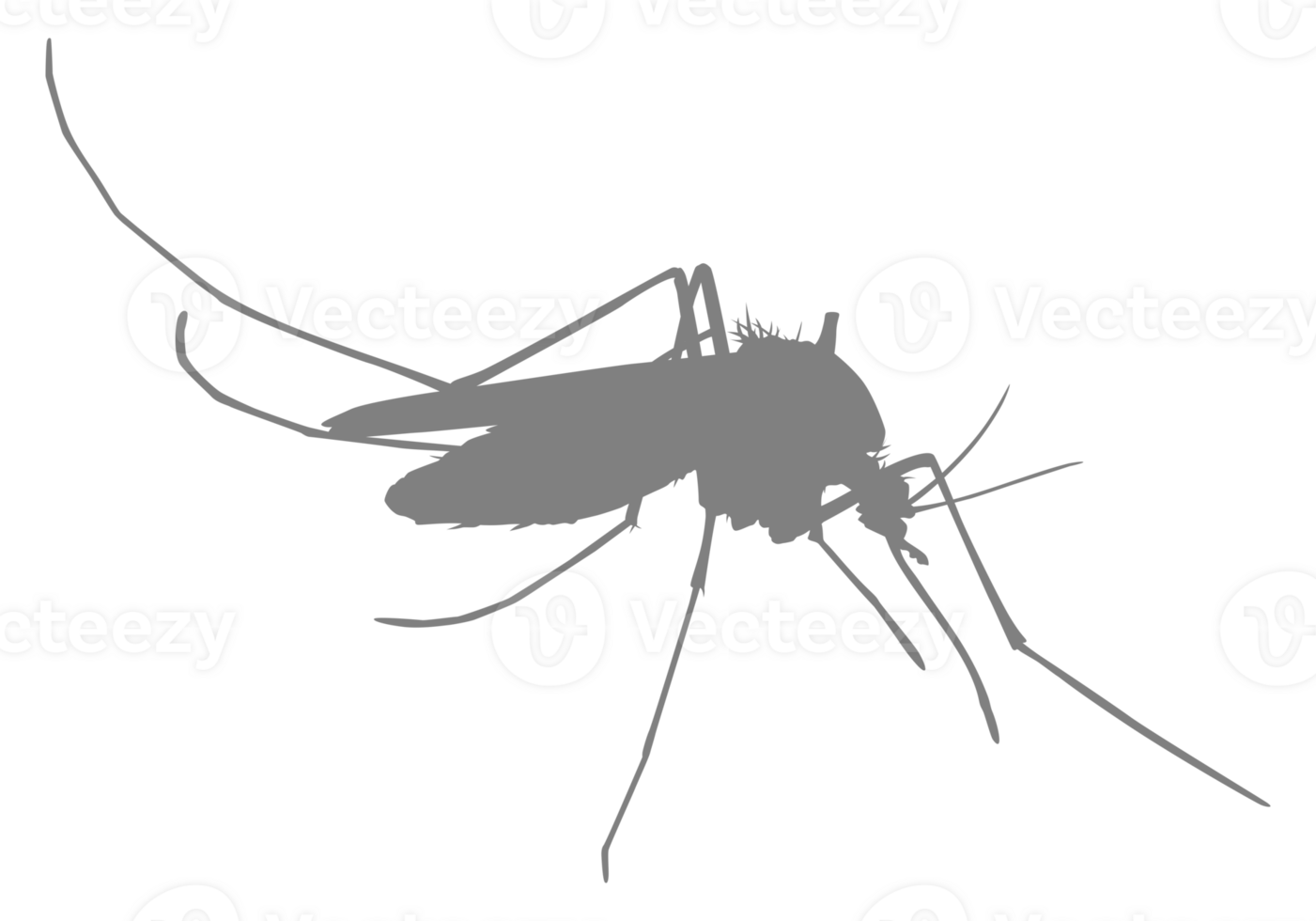 Mosquito Silhouette, can use for Art Illustration Pictogram, Website, and Graphic Design Element. Format PNG