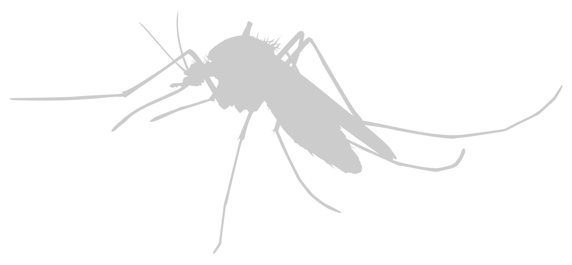Mosquito Silhouette, can use for Art Illustration Pictogram, Website, and Graphic Design Element. Format PNG