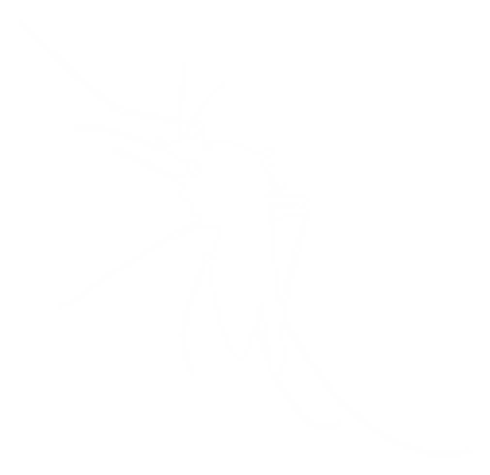 Mosquito Silhouette, can use for Art Illustration Pictogram, Website, and Graphic Design Element. Format PNG