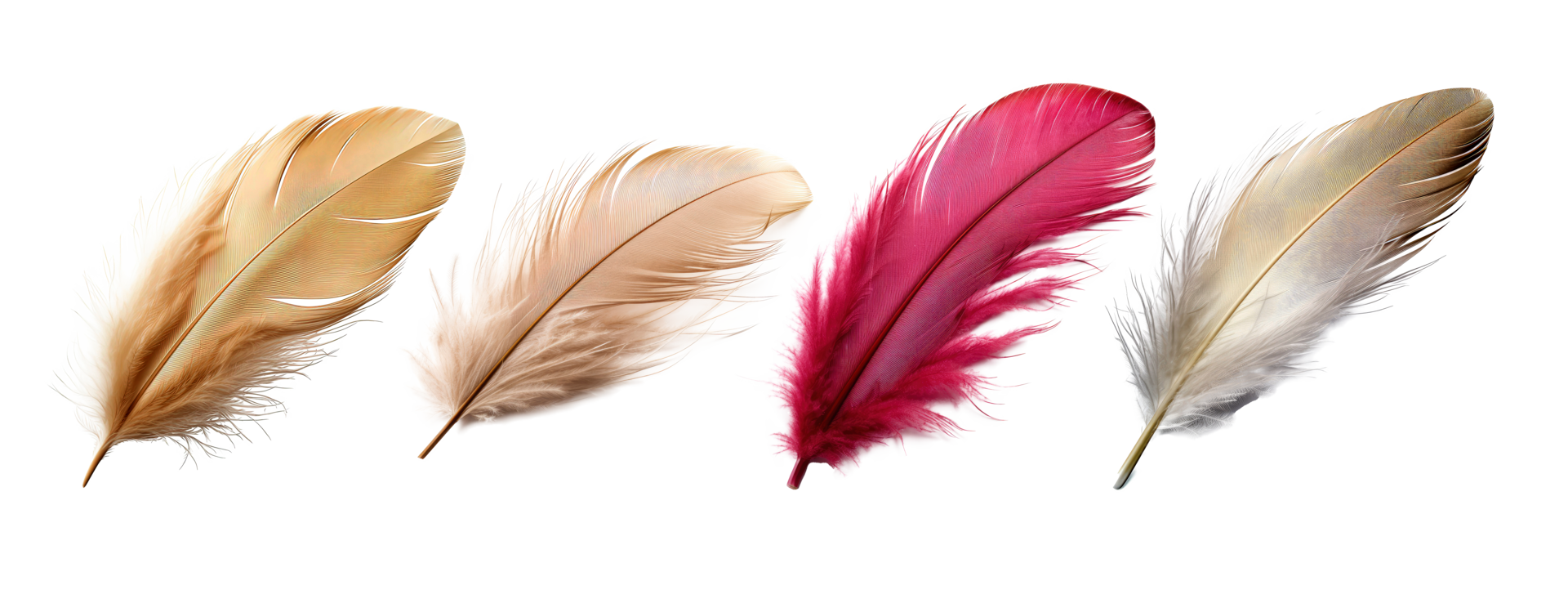 AI generated Set of Delicate Downy Feather Isolated on Transparent