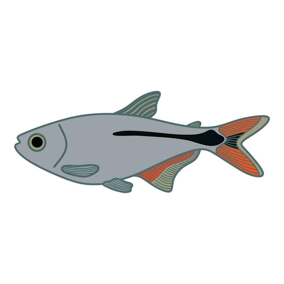 dibujos animados vector ilustración buenos aires tetra pescado icono aislado en blanco antecedentes