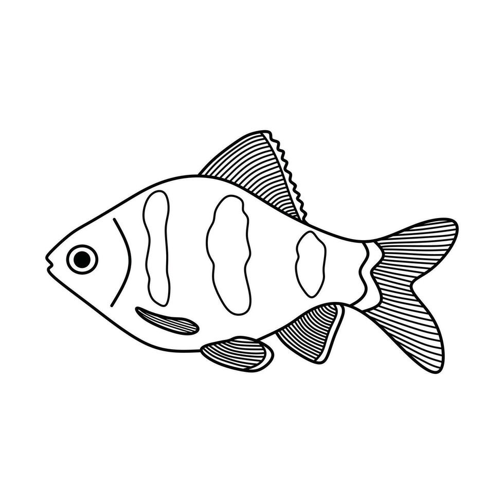 Hand drawn Cartoon Vector illustration black ruby barb fish icon Isolated on White Background