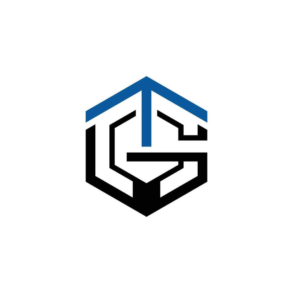 Letter TG Hexagon Logo Geometric Shape vector