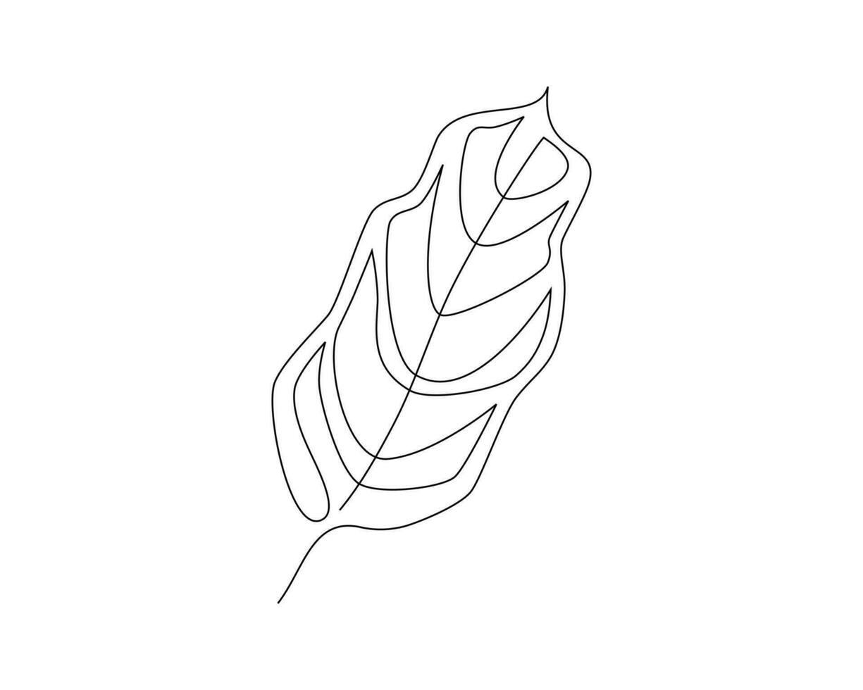 Continuous one line drawing of monstera leaf. Vector illustration.