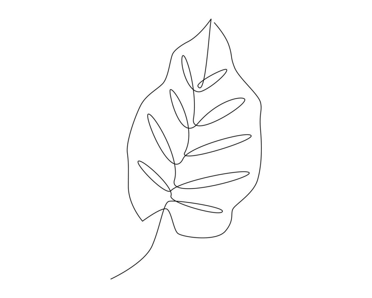 Continuous one single line drawing monstera leaf minimalism vector illustration concept