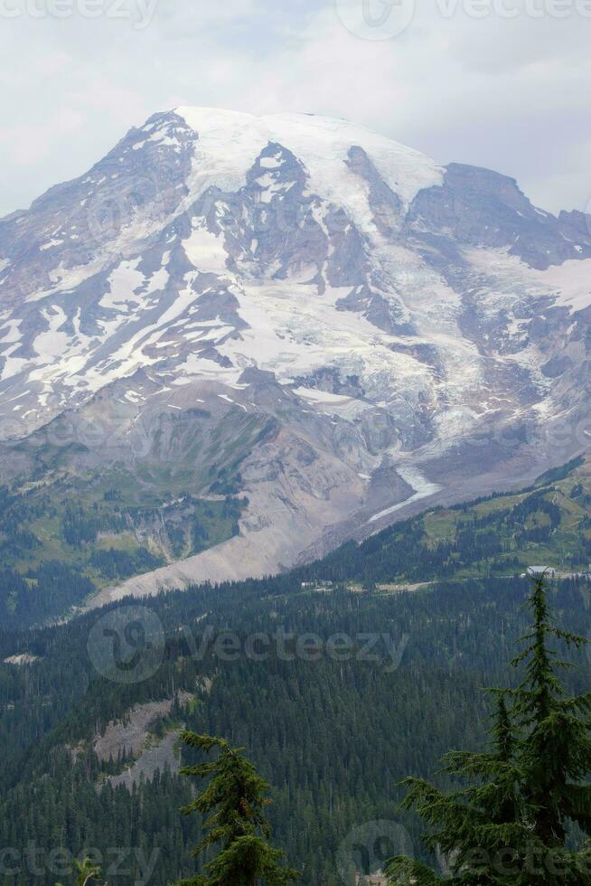 Mt. Rainier, with conifer forest photo