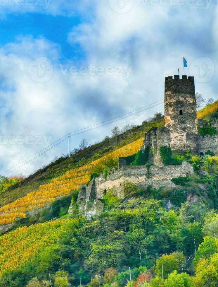 Furstenberg Castle Rheindiebach on the Rhine River photo
