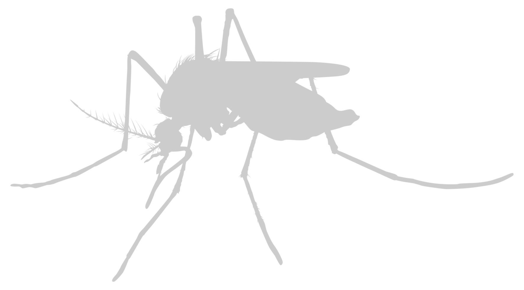 Mosquito Silhouette, can use for Art Illustration Pictogram, Website, and Graphic Design Element. Format PNG