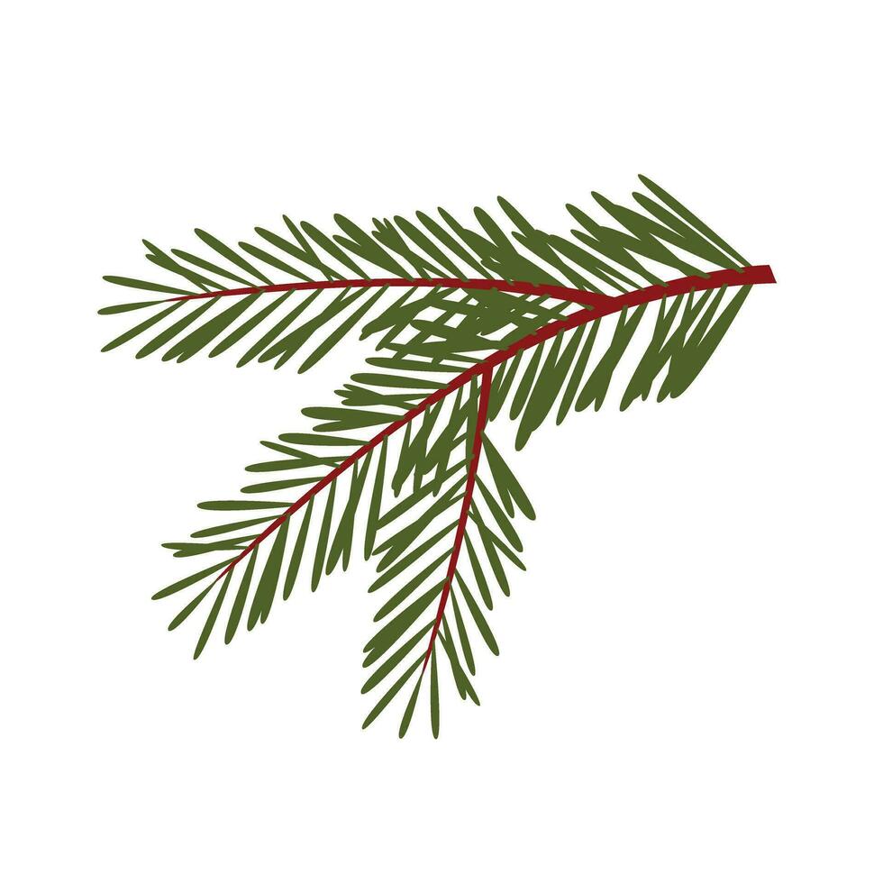 Green lush spruce or pine branch. Fir tree branch isolated on white vector christmas element.