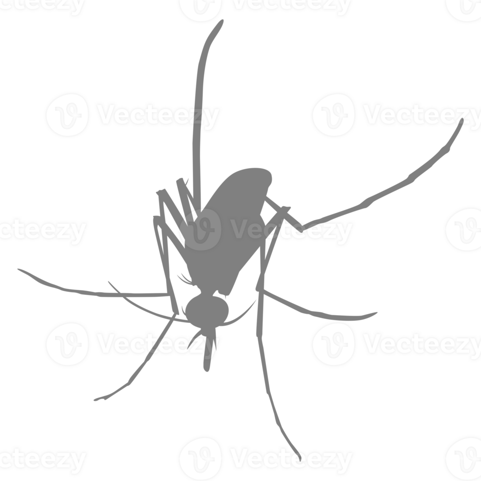 Mosquito Silhouette, can use for Art Illustration Pictogram, Website, and Graphic Design Element. Format PNG