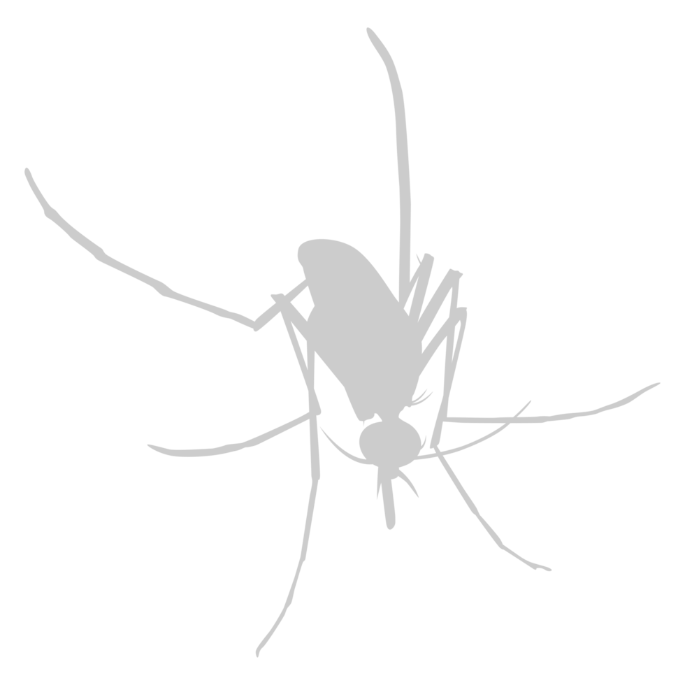 Mosquito Silhouette, can use for Art Illustration Pictogram, Website, and Graphic Design Element. Format PNG