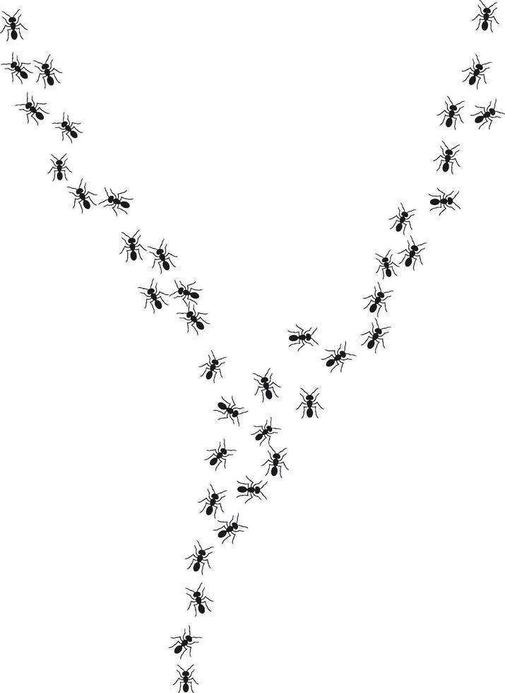 A path of ants running up. View from above. Ant vector trail.