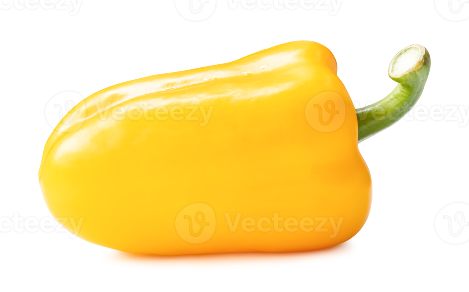 Fresh yellow bell or sweet paprika pepper isolated with clipping path and shadow in png file format. Side view