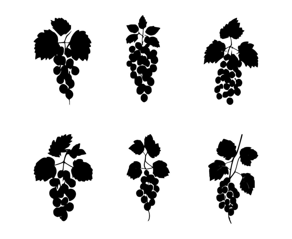 AI generated set of grape plant silhouettes on isolated background vector