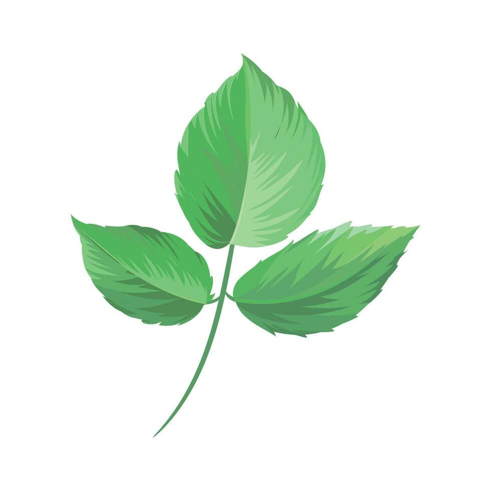 Vector green leaves branch garden plant decorative element