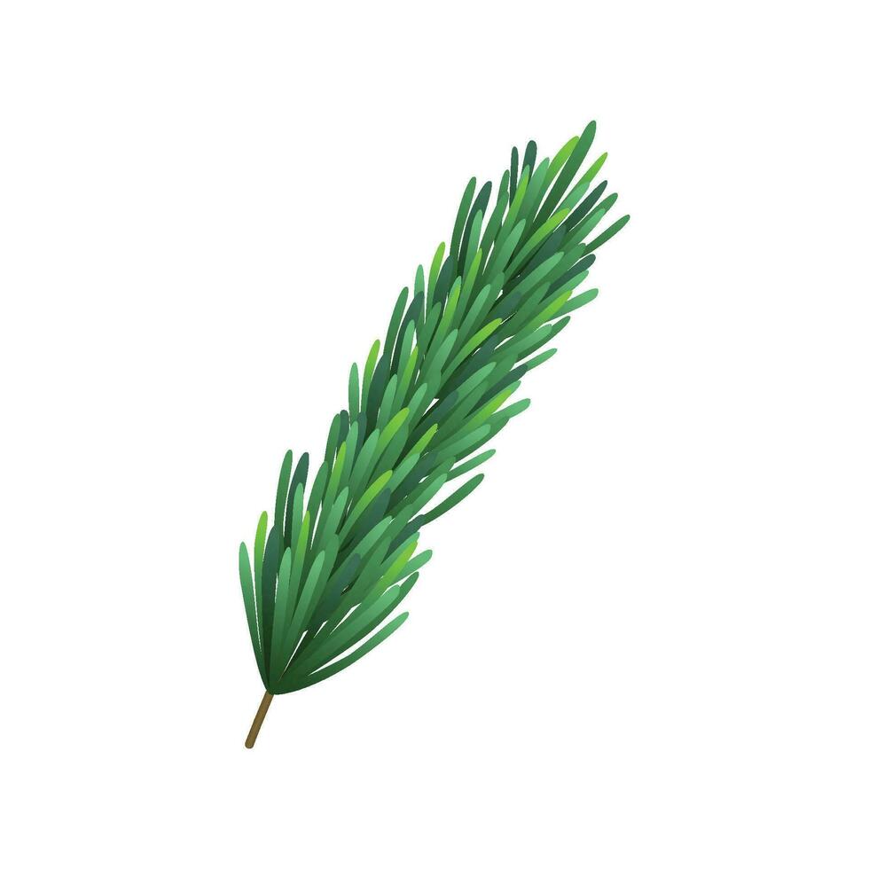 Vector pine tree branch fir twigs with green needles on white