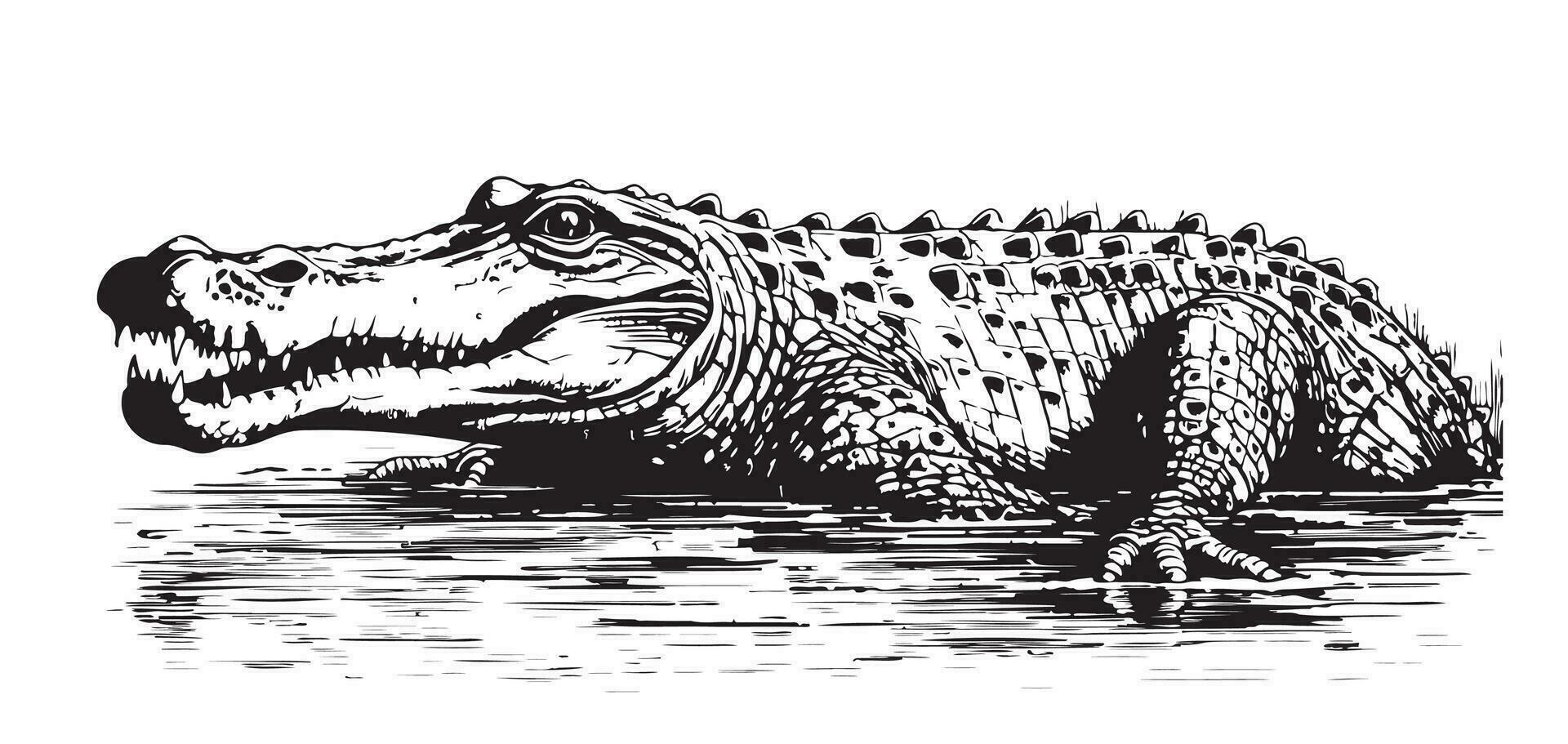 Crocodile sketch hand drawn in doodle style Vector illustration