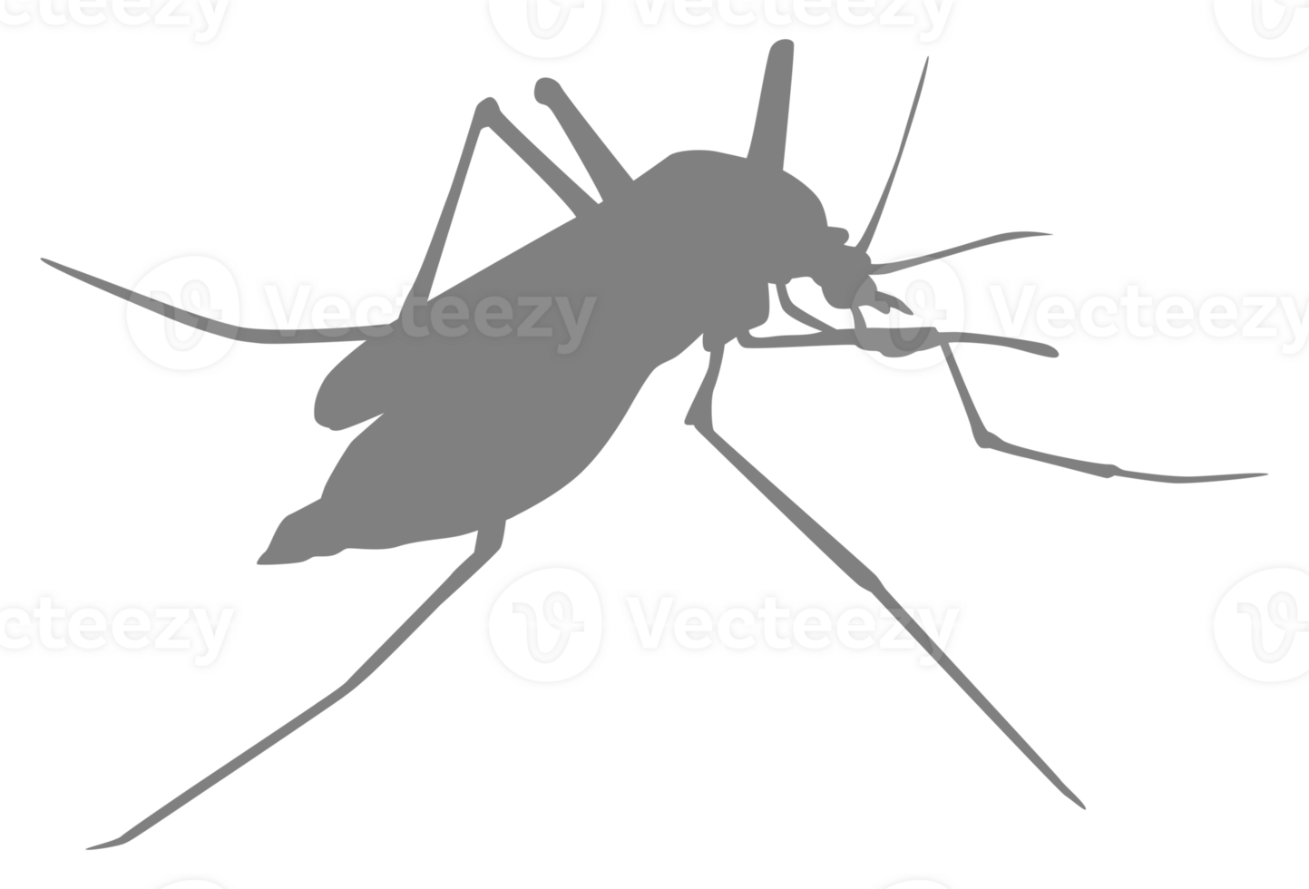 Mosquito Silhouette, can use for Art Illustration Pictogram, Website, and Graphic Design Element. Format PNG