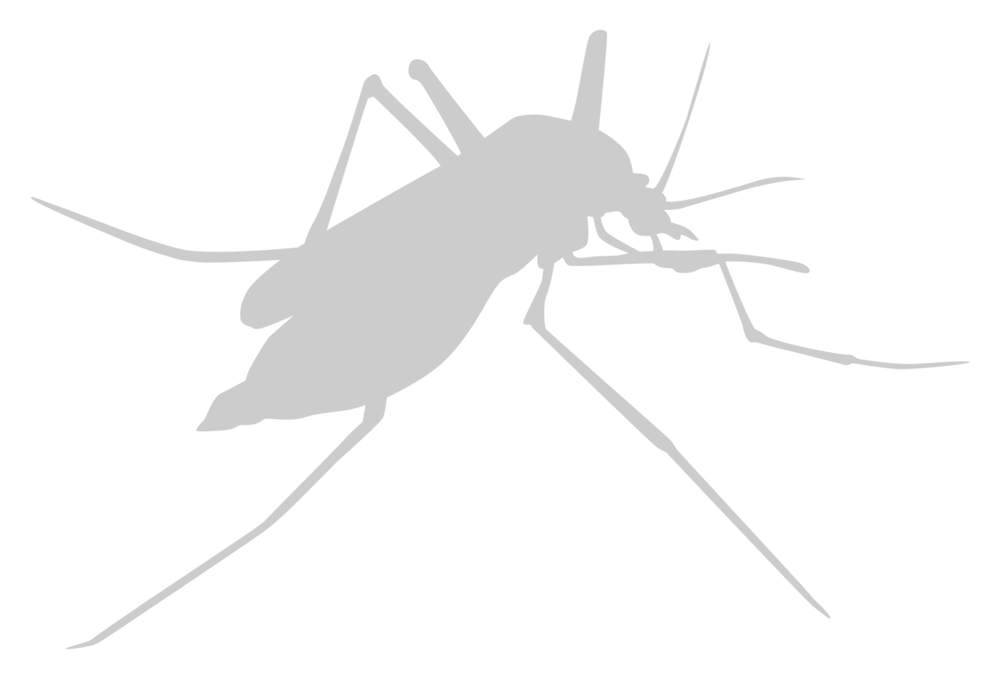 Mosquito Silhouette, can use for Art Illustration Pictogram, Website, and Graphic Design Element. Format PNG