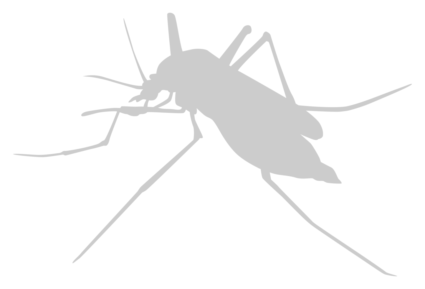 Mosquito Silhouette, can use for Art Illustration Pictogram, Website, and Graphic Design Element. Format PNG